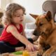 Cachorra considerada inadotável surpreende a todos ao se tornar a irmã mais velha mais doce da família