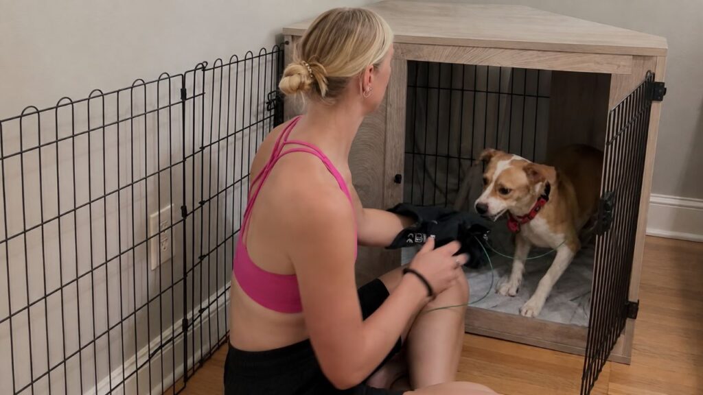 Filhote resgatada não parava de rosnar para ninguém até conhecer outros cães e surpreender com sua transformação