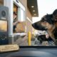 Cão mestiço de pastor-alemão ao lado de um carro no drive-thru do McDonald’s, apontando o focinho para o painel de pedidos