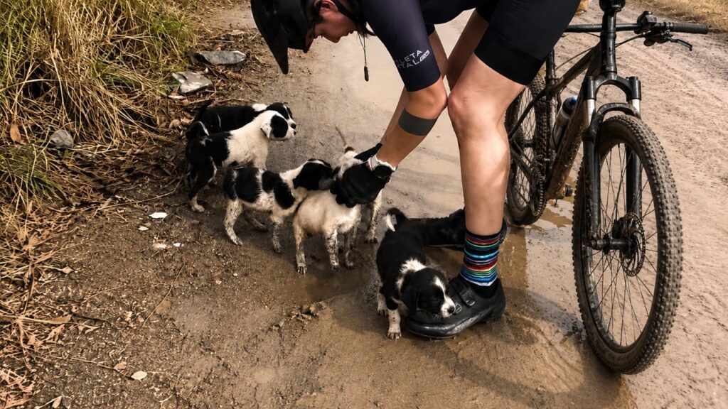 Mulher saiu para pedalar sozinha, mas ninguém esperava com quem ela voltaria para casa