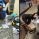 Policiais militares em uniforme com ampolas de tirzepatida e malas durante operação