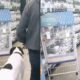 Dogue alemão preto e branco observa gaiola em pet shop com placa "Zangado é o mascote"