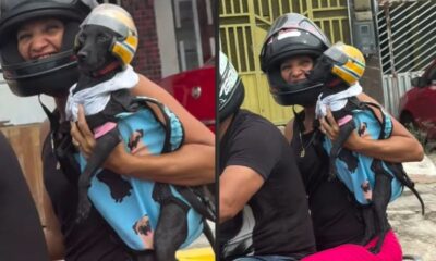 Mulher de capacete segurando cão preto com capacete amarelo e colete em moto