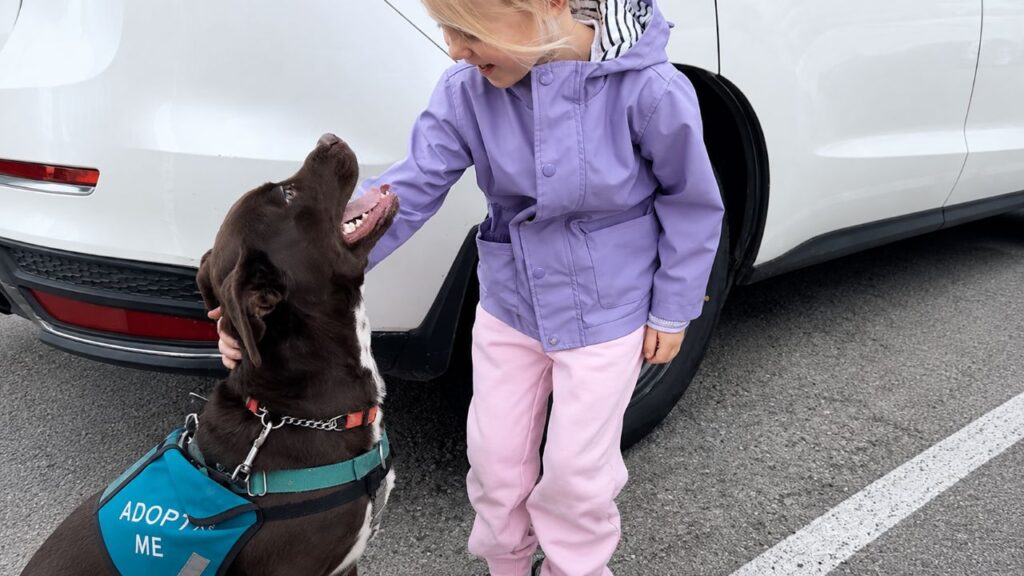 Encontro entre cachorro de abrigo e garotinha emociona pela reação dos dois e transforma um momento simples em uma cena simplesmente inesquecível