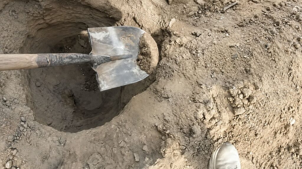 Operário interrompe o trabalho ao perceber que uma pilha de terra no fundo do buraco estava se mexendo