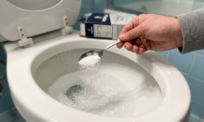 Colocar sal no vaso sanitário à noite antes de dormir: para que serve e por que você deve fazer isso toda semana