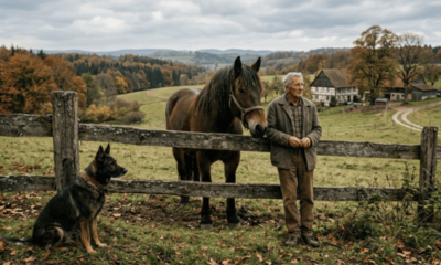 Provérbio alemão do dia: “Uma cerca dura 3 anos, um cachorro dura 3 cercas, um cavalo dura 3 cachorros e um homem dura 3 cavalos”; lições de vida sobre como o tempo na Terra é temporário e sobre praticar a gratidão