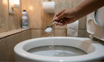 Colocar sal no vaso sanitário à noite antes de dormir: para que serve e por que você deve fazer isso toda semana