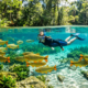 Águas tão cristalinas que os peixes parecem flutuar no ar: o destino do interior que se tornou referência mundial em ecoturismo carbono neutro