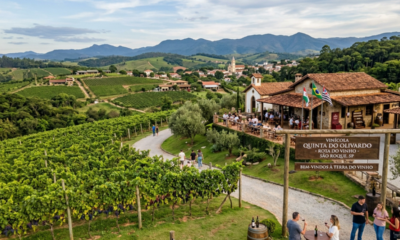 A cidade que sediou a primeira Festa do Vinho do Brasil ainda cultiva a única alcachofra com nome próprio do país