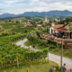A cidade que sediou a primeira Festa do Vinho do Brasil ainda cultiva a única alcachofra com nome próprio do país