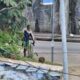 Um homem caminha em uma rua urbana com vegetação, poste, fios e grafite na parede