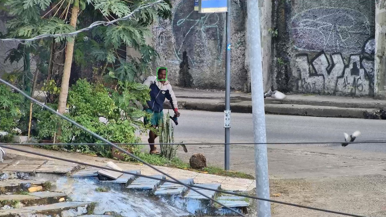 Um homem caminha em uma rua urbana com vegetação, poste, fios e grafite na parede