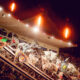 São Januário (Foto: Divulgação/Vasco)