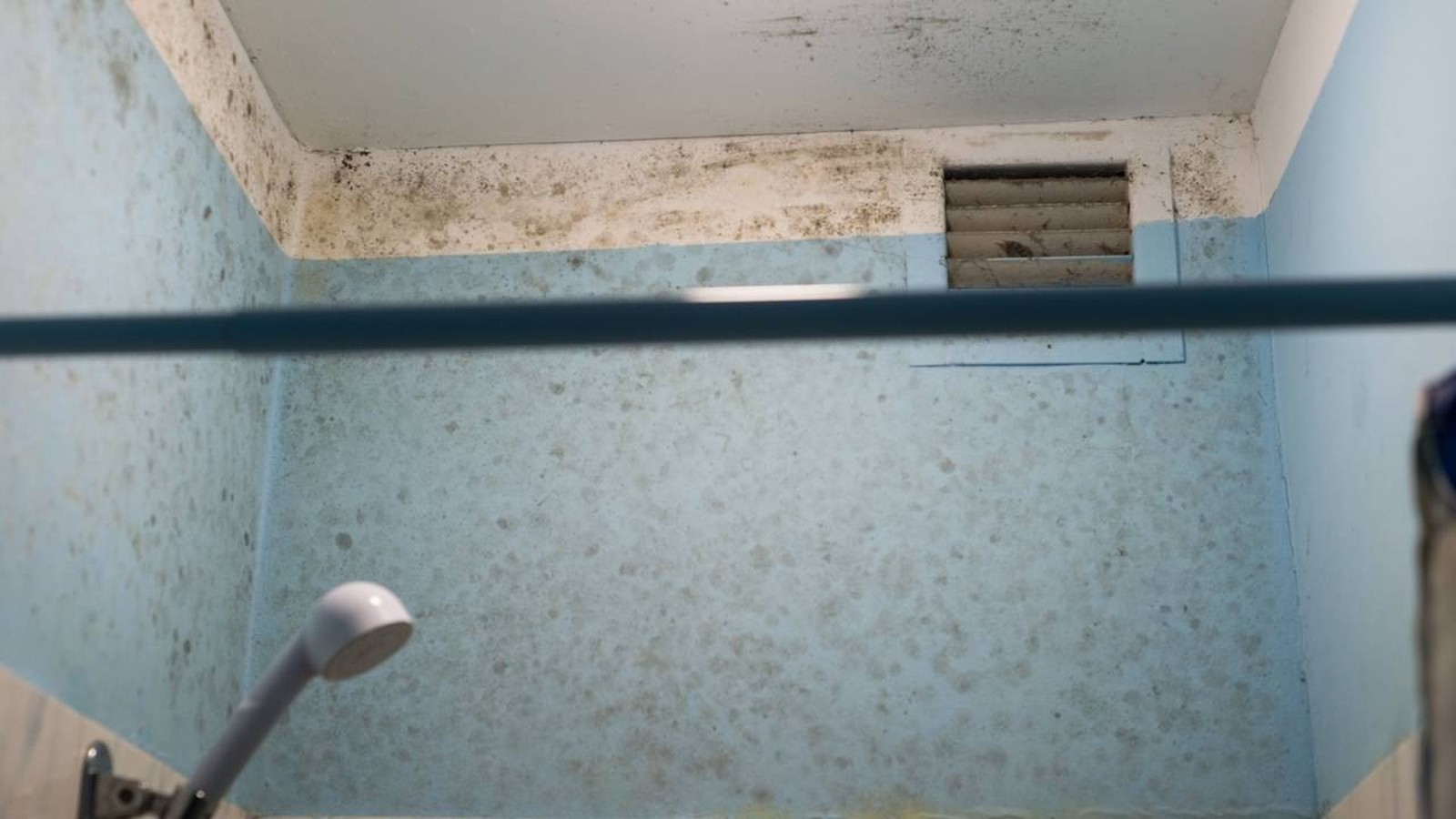 Paredes e teto de banheiro com mofo e bolor escuro, chuveiro branco e grade de ventilação