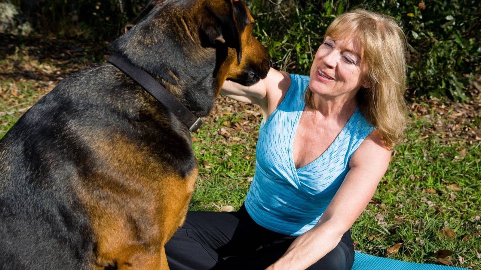 Mulher sorridente acaricia cão grande preto e marrom sentada em tapete azul