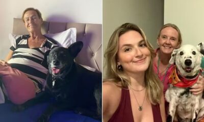 Díptico: mulher sorrindo com cachorro preto; duas mulheres sorrindo com cachorro branco e preto