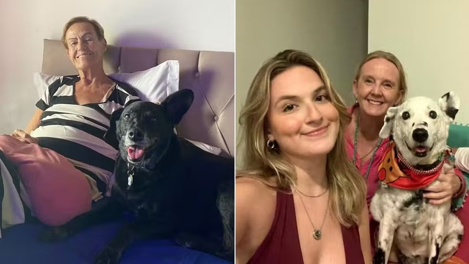 Díptico: mulher sorrindo com cachorro preto; duas mulheres sorrindo com cachorro branco e preto