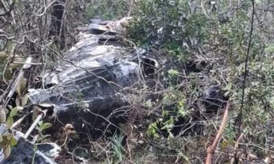 Destroços metálicos de helicóptero entrelaçados em densa vegetação e galhos secos