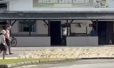Duas pessoas com bicicleta na rua em frente ao Mercado Cedro Central.