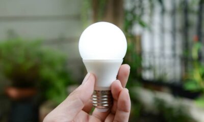 Mão segurando uma lâmpada LED branca e acesa, com fundo verde desfocado