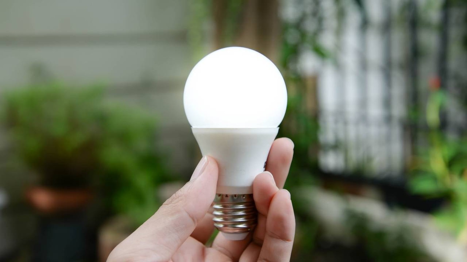 Mão segurando uma lâmpada LED branca e acesa, com fundo verde desfocado