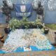 Quatro policiais exibem drogas, plantas, arma, munições e dois cães farejadores sobre lona azul