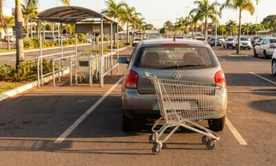 Segundo a psicologia, quem devolve o carrinho ao lugar certo no estacionamento do mercado pode não estar só sendo organizado, mas demonstrando forte senso de responsabilidade coletiva