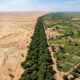 Está sendo construída uma “muralha de árvores” de 8 mil quilômetros que vai atravessar a África, conter o avanço do deserto e ainda ajudar milhões de pessoas com alimento e renda