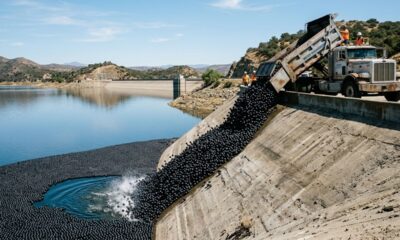 As 96 milhões de bolinhas pretas que Los Angeles jogou num reservatório para proteger a água potável do sol