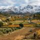 Provérbio português do dia: “Quem no outono não trabalha, no inverno come palha.” Uma reflexão sobre disciplina, planejamento e a importância de não deixar tudo para depois
