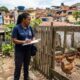 Vizinho cria 14 galinhas em quintal de 200 m² na área urbana e o caso é decidido pelo Código de Posturas do município, não pelo Código Civil
