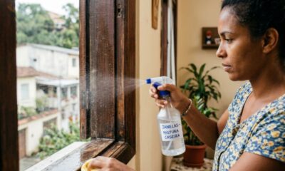 Borrifar uma mistura de vinagre branco com cravos-da-índia nos cantos das janelas e portas: a receita caseira simples que bloqueia a entrada de formigas e mosquitos na sua casa na hora