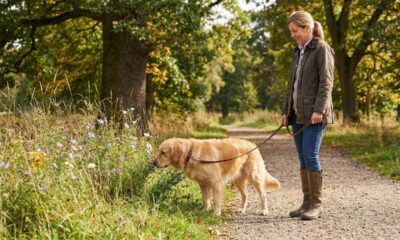 Especialistas em psicologia apontam que a forma como uma pessoa passeia com o cachorro pode revelar habilidades importantes para manter relacionamentos mais fortes e equilibrados