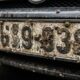 Em 2021, 654 voluntários começaram a contar insetos esmagados em carros e, três anos depois, o mesmo levantamento apontou uma queda de 62,5% nos insetos voadores