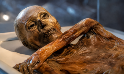 Uma múmia de 2.300 anos encontrada nos Alpes revelou uma flecha ainda presa no ombro e o que isso revelou sobre sua morte