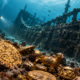 Mais de 300 peças de ouro encontradas no navio pirata Whydah Gally revelaram uma origem inesperada. O metal veio de Gana e muda ideias sobre o comércio antigo