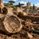 Arqueólogos encontram fóssil de criatura marinha extinta em poço de 1.800 anos e revelam um hábito inesperado dos antigos moradores