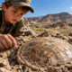 Garoto de 11 anos encontrou uma peça no chão, mas especialistas descobriram que o achado guardava 48 milhões de anos de história