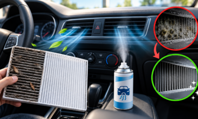 Carro com cheiro de mofo ao ligar o ar-condicionado? Um cuidado simples pode ajudar a eliminar a umidade acumulada nos dutos