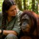 Ela viveu por mais de 50 anos entre orangotangos na floresta, mas colegas diziam que chegou perto demais dos animais