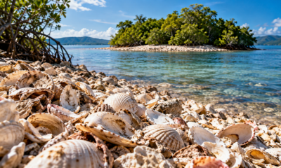 Parece uma ilha comum cercada pela natureza, mas cientistas descobriram que seus 3 mil metros quadrados foram formados por toneladas de conchas acumuladas durante séculos