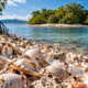 Parece uma ilha comum cercada pela natureza, mas cientistas descobriram que seus 3 mil metros quadrados foram formados por toneladas de conchas acumuladas durante séculos