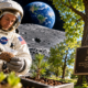 Em 1971, um astronauta levou cerca de 500 sementes de árvores ao redor da Lua e, cinco anos depois, elas cresceram em escolas, universidades, parques e centros da NASA