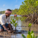 Em 1998, pescador começou a recuperar manguezais para proteger a comunidade e, 20 anos depois, projeto já havia restaurado milhares de hectares