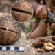 Arqueólogos encontram noz de 3.400 anos com um corte misterioso e revelam como humanos pré-históricos preparavam alimentos usando lâminas de pedra