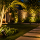 Técnico em iluminação externa ensina como iluminar o jardim com spots direcionáveis e posicionar os focos para destacar plantas sem desperdiçar luz