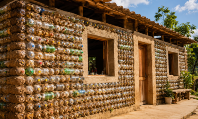 Casas feitas com garrafas PET e terra compactada ganham espaço na construção: técnica dispensa cimento nas paredes, reduz materiais convencionais e pode acelerar a obra com baixo custo e reaproveitamento de resíduos