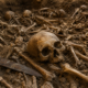 Vala comum com 129 romanos e uma lança na pelve revela batalha desconhecida há 1.900 anos em Vindobona