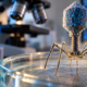 Cientistas criaram mais de 44 mil variantes do bacteriófago ΦX174 e descobriram que modelos de IA não previram corretamente 25% dos efeitos danosos